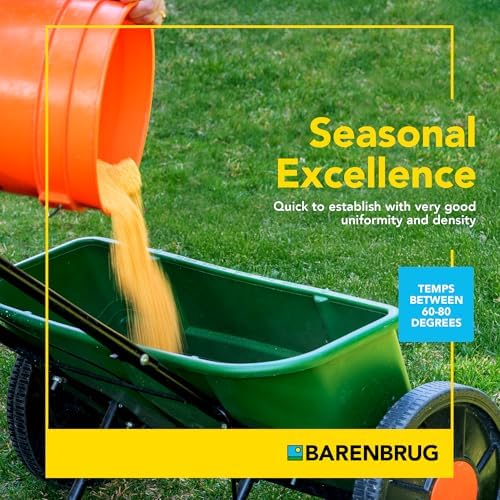 Barenbrug Turf Saver RTF Grass Seed with Yellow Jacket Seed Coating - Less Water Self-Repairing Tall Fescue Turf for Use on Sports Field, Golf Courses