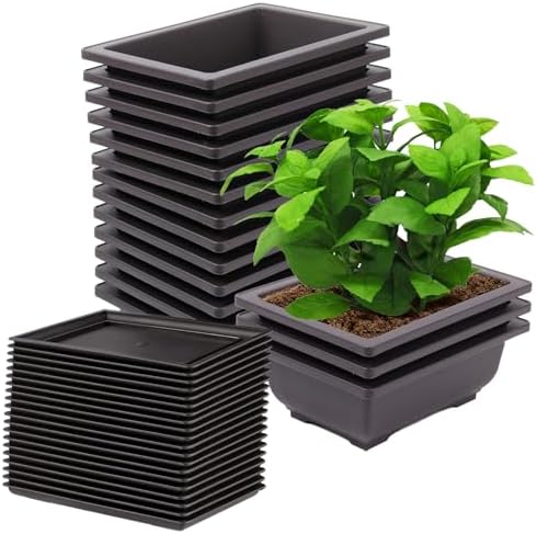 15 PCS 6.5 Inch Bonsai Training Pots with Trays, Rectangular Plastic Growing Pots, Flower Succulent Pots Container for Garden, Yard, Office, Porch