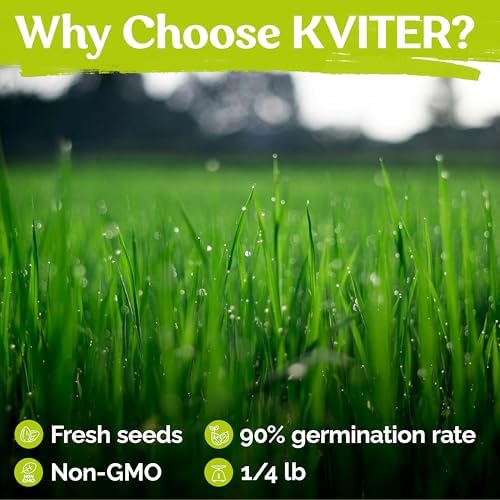 1/4 Lb Zenith Zoysia Grass Seed (Zoysia Japonica) – Zenith Zoysia Seeds for Lawn – Dense, Grass Seed Shade & Drought Tolerant