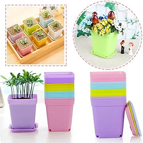 Haawooky 24 Pack Colorful Flower Pots Square Plastic Plant Pots Succulent Planter Nursery Pots with Saucers for Your Room