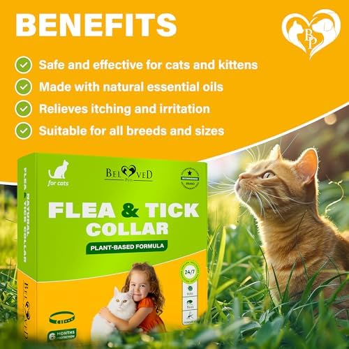 Natural Flea & Tick Collar for Cats - 6 Months Control of Best Prevention & Safe Treatment - Anti Fleas and Ticks Essential Oil Repellent (1 Pack)
