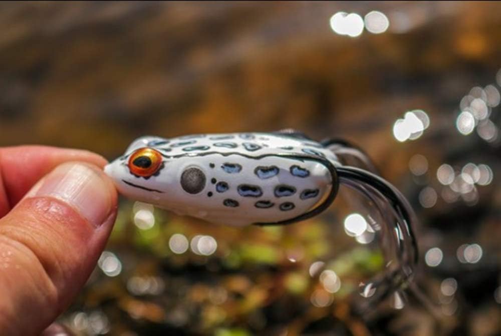 Booyah Pad Crasher Jr Topwater Bass Fishing Hollow Body Frog Lure with Weedless Hooks