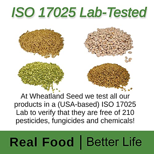 Hard Red Wheat Berries : Wheatland™ : 25 lb Bulk: Emergency Preparedness : Mylar : Oxygen Absorber : 30 Year Shelf Life : Non GMO: NO Glyphosate :