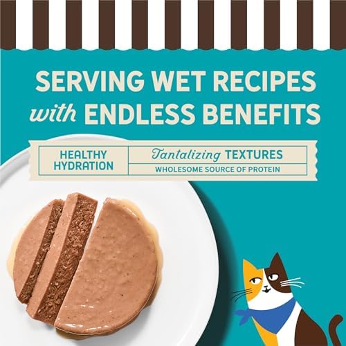 Merrick Purrfect Bistro Grain Free Premium Soft Canned Pate Adult Wet Cat Food, High Protein Duck Recipe - (Pack of 24) 3 oz. Cans
