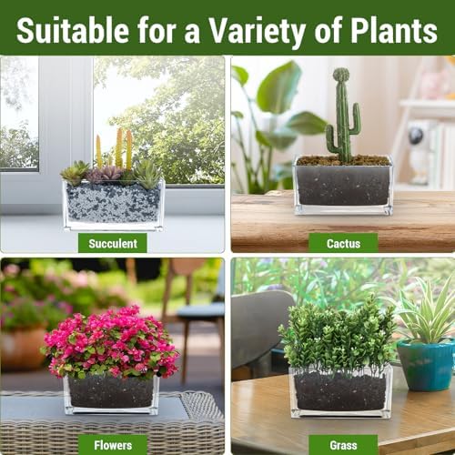 MyGift 7.8 Inch Modern Rectangular Glass Vase Trough Planter Terrarium | Clear Display Design, Tabletop Floral Centerpiece, Succulent Showcase
