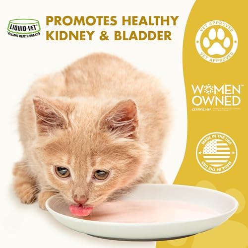 Feline Kidney & Bladder Advanced Formula, Plain, 8 oz