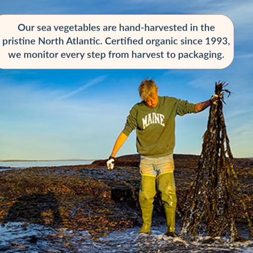 Maine Coast Sea Vegetables Kelp Granules Blend | Organic Seaweed Snacks | Sustainably Harvested | Low Sodium Salt Alternative | Rich in Iodine &