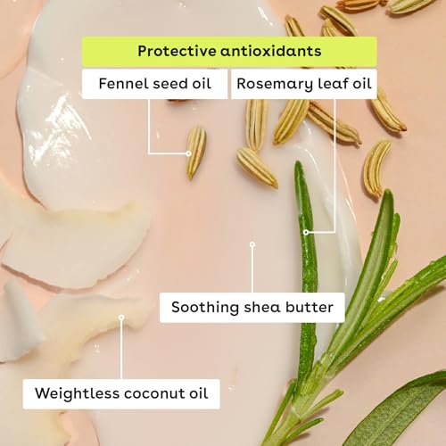 eos 100% Natural Lip Balm - Coconut Milk, All-Day Moisture, Dermatologist Recommended for Sensitive Skin Care, Lip Care Products, 0.25 oz