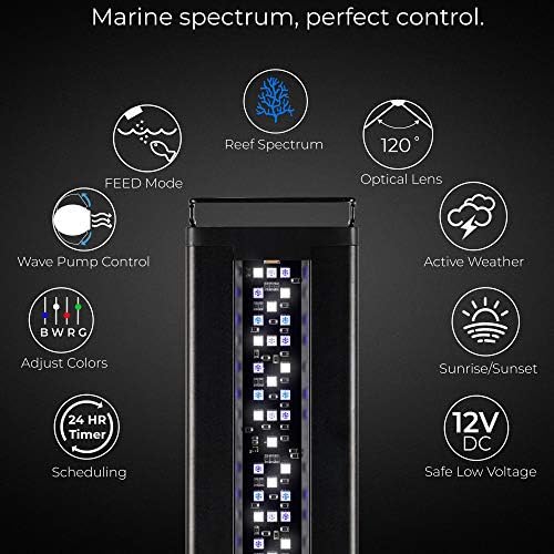 Current USA 24-36" Inch Orbit Marine LED Saltwater Reef Marine Aquarium Light | 24 Hour IR Lighting & eFlux Wave Pump Control | Adjustable Color Spectrum for Fish Tank (4101)