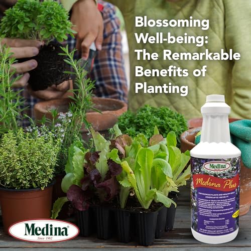 Medina Plus Soil Activator - Liquid Soil Loosener for Lawns & Gardens - Micronutrient-Rich Soil Conditioner & Softener - Used with House Plant Fertilizer, Liquid Plant Food for Houseplants - 1 End Qt