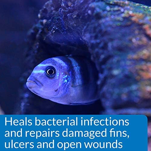 API MELAFIX Freshwater Fish Bacterial Infection Remedy 64-Ounce Bottle