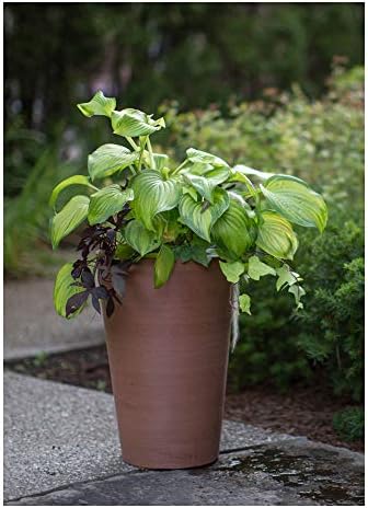 Algreen Valencia Round Planter Pot, 12.25 by 18-Inch, Textured Brown | Round Shape, Indoor Use, UV And Weather Resistant, Drainage Hole With Removable Plug, Lightweight 5.51 lb