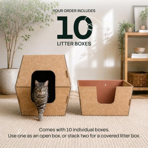 Cats Desire - Disposable Litter Boxes for Cats