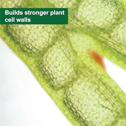SUPERthrive® Pro-Tekt® 0-0-3 Silicon Supplement for Plants, 1 Quart