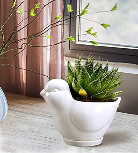 GeLive White Cow Succulent Pot, Small Ceramic Animal Planter with Drainage Hole & Saucer for Cactus, Mini Air Plants, Pencil Holder Brush Organizer, Indoor Home Office Desk Decor, Funny Gift