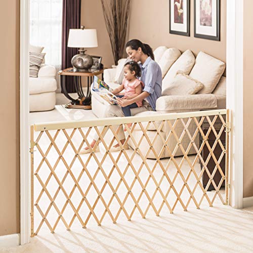 Evenflo Expansion Walk-Thru Room Divider Baby Gate (Natural Wood)