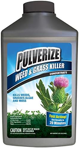 Weed and Grass Killer, All Natural, Fast Acting, Non-Staining, Safe for People and Pets, Herbicide for Moss, Algae, Weeds, and Grass
