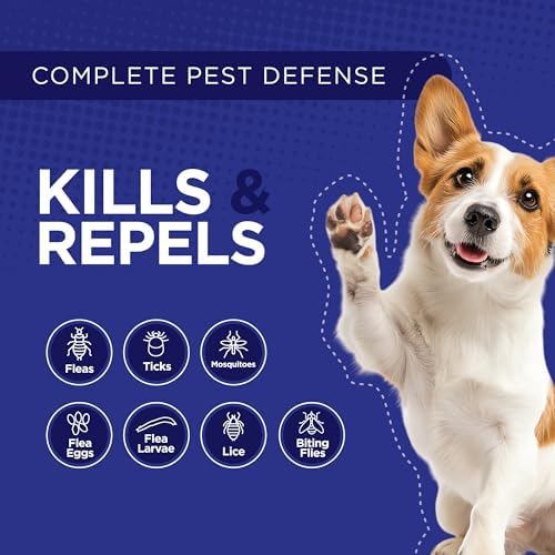 TevraPet Activate II Flea and Tick Prevention for Dogs, Large Dogs 21-55 lbs, Topical Drops, 4 Month Flea and Tick Treatment
