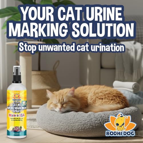 Bodhi 3-in-1 Cat & Kitten Training Aid - Cat Deterrent Spray for Indoor and Outdoor Use - Repellent to Establish Boundaries, Keep Cats Off Furniture
