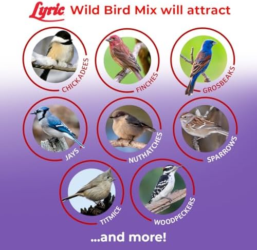 Lyric Wild Bird Mix - Includes Corn, Nuts, and Wild Bird Seed for Outside Feeders, Attracts Doves, Jays and Many More, 40 lb Bag | Includes corn