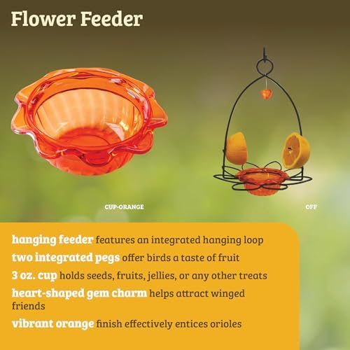 Birds Choice Flower-Shaped Oriole Feeder for Jelly & Oranges | 3oz, Orange | Removable Cup and Fruit Pegs with Heart Ornament, Sturdy for Garden and Backyard, Orange Finish