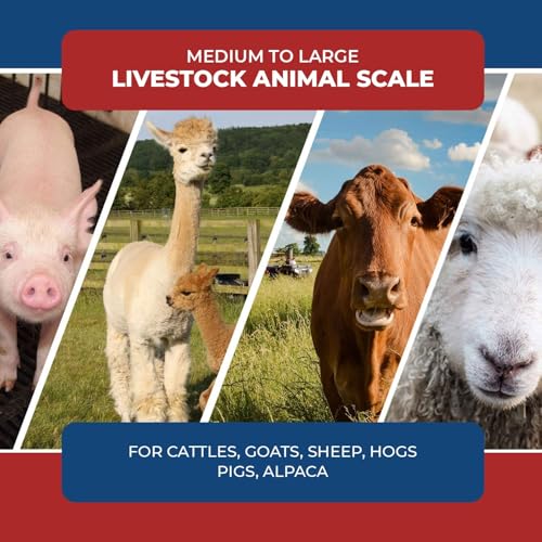10000lb Load Bar Set for Cattle, Hog, Pig, Goat, Sheep, Alleyway, Chute and Cage Scale | Two Weigh Bar and One Indicator Set (36")