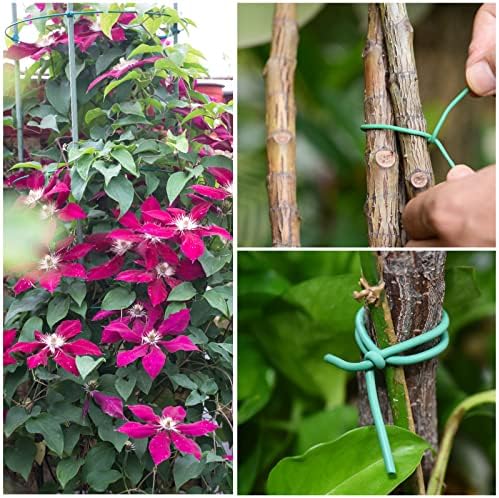 YDSL Soft Plant Tie, Garden Wire Tie for Plants Heavy Duty Reusable Plant Twist Ties for Gardening Home Office (Green, 32.8 feet)