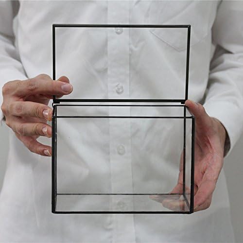 NCYP 6.7 x 4 x 4.8 Inch Small Glass Terrarium Planter with Lid, Clear Glass Box Container for Succulents, Air Plant, Moss, Ferns, Cactus