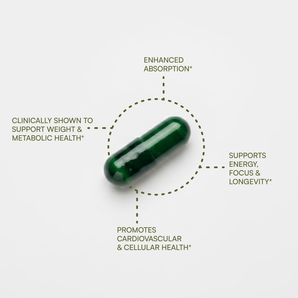Purity Products Green Tea CR w/Phytosome Technology for Boosted Bioavailability from Chris Kilham 60 Capsules