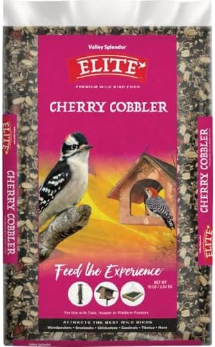 Cherry Cobbler