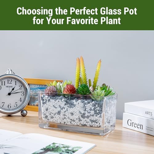 MyGift 7.8 Inch Modern Rectangular Glass Vase Trough Planter Terrarium | Clear Display Design, Tabletop Floral Centerpiece, Succulent Showcase