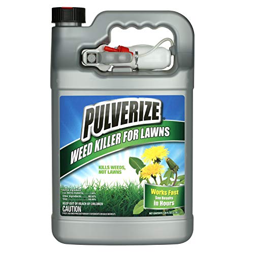Weed Killer for Lawns Concentrate