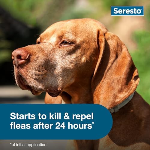 Seresto Large Dog for Dogs Over 18 lbs. & Seresto for Cats Vet-Recommended Flea & Tick Treatment & Prevention Collars | 8 Months Protection Each