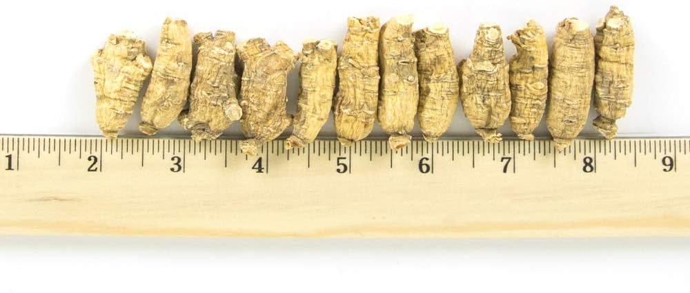 Hsu's SKU 110-4 | Short Extra Large | Cultivated Wisconsin American Ginseng Direct from Ginseng Gardens | 许氏花旗参 | 4oz Box, 西洋参, B005HSX9VM