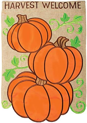 Carson Home Accents 55409 Double Applique Garden Outdoor Flag, Multicolor