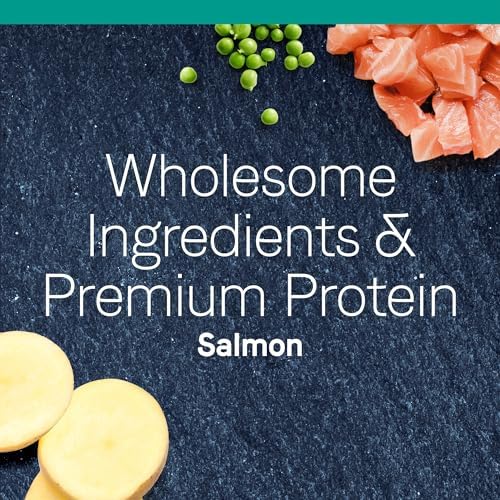 Canidae Pure Limited Ingredient Premium Dry Cat Food, Real Chicken Recipe, 10 lbs, Grain Free