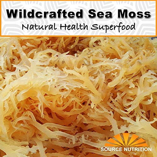 1 lb Wild Crafted Raw Sea Moss - Perfect for Gel & Smoothies, Clean Ocean Harvest, Hand Picked & Sun Dried - Bulk Irish Moss Superfood