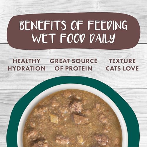 Weruva Classic Stews Cat Food, Spoil Me Stewpid! Variety Pack, 3oz Can (Pack of 18)