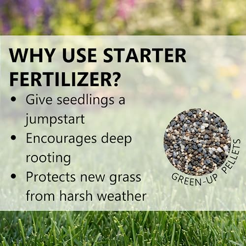Jonathan Green (11543) Green-Up Lawn Food for Seeding & Sodding - 12-18-8 Grass Fertilizer (15,000 Sq. Ft.)