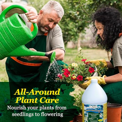 Medina Liquid Fish Blend Fertilizer 2-3-2, 1 Gallon | Gro, Bloom, and Lush Gardens, Seaweed Enriched Plant Food, Vibrant Growth and Blooms, Available