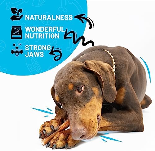 Sitka Farms Bully Sticks for Dogs, Dog Chews and Treats, 6 Inch, 20 Count