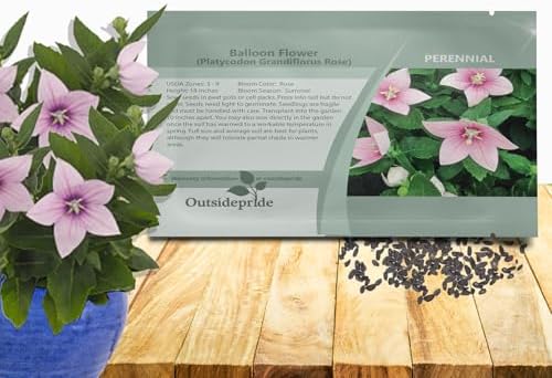 Outsidepride Blue Balloon Flower Seeds for Planting – 1000 Pcs Perennial, Drought-Tolerant, Easy to Grow, Low Maintenance, Pollinator-Friendly, Star-Shaped Blooms for Outdoor Gardens and Borders