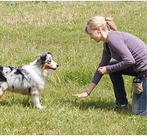 Dog Training Clicker with Wrist Strap Durable Lightweight Easy to Use-2 Pack(Black+New Blue)