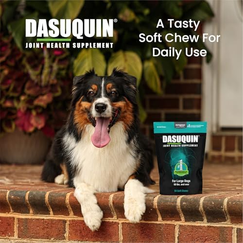 Nutramax Dasuquin Joint Supplement, Small/Med Dogs, Soft Chews, 84ct | Glucosamine and Chondroitin Joint Health Supplement for Dogs under 60 lbs, Soft Chews, With ASU, All Ages