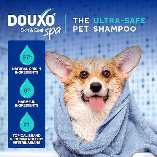 DOUXO SPA Dog Shampoo for Smelly Dogs, 16 fl oz | Hydrates the Skin, Removes Bad Odor, Leaves the Coat Soft and Smelling Great, Ultra-Safe Formula
