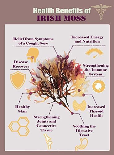 Sea Moss/Irish Moss Capsules - Natural, Vegan, Organic, Non-GMO