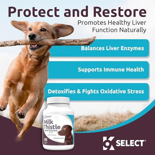 Milk Thistle for Dogs, 100mg - 60 Vegetable Capsules - Canine Liver Health Milk Thistle Supplement - Milk Herbal