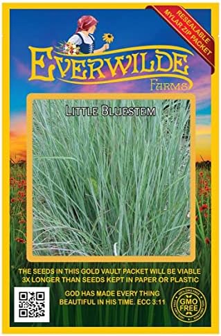 1000 Little Bluestem Native Grass Seeds - Gold Vault Jumbo Seed Packet