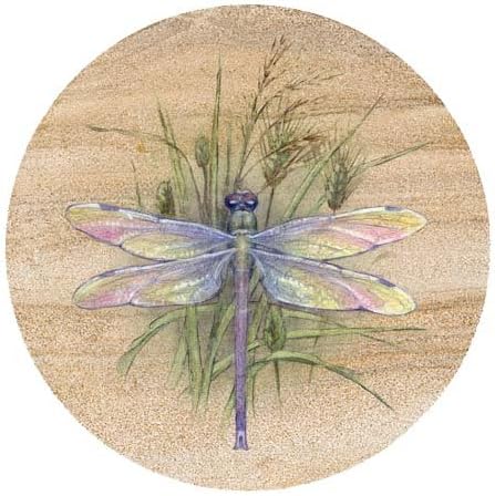 Thirstystone Dragonfly 4 Pack Round Natural Sandstone Coasters | Protective Cork Backing, Manufactured in the USA