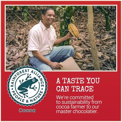 Chocolove Extreme Dark Chocolate Bars | 88% Cocoa | Rich and Intense Flavor | Made with Premium Dark Chocolate | Non-GMO & Gluten-Free, 3.2 oz Bar (12 Pack)